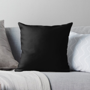 Jidion Pillows – JiDion Homiesexual Throw. a black color pilow